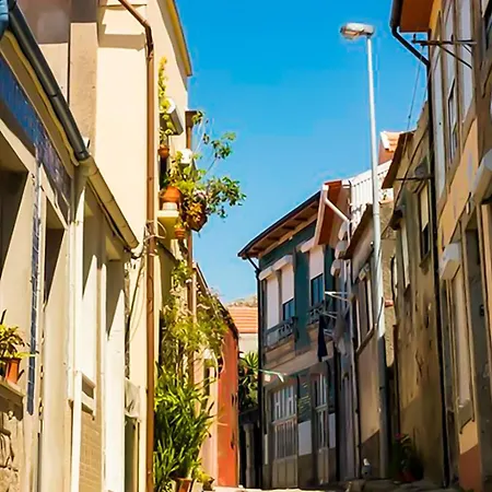 Sunny Historic Center Studio - A פורטו