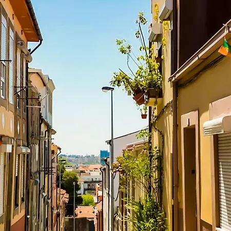 Sunny Historic Center Studio - A Apartment